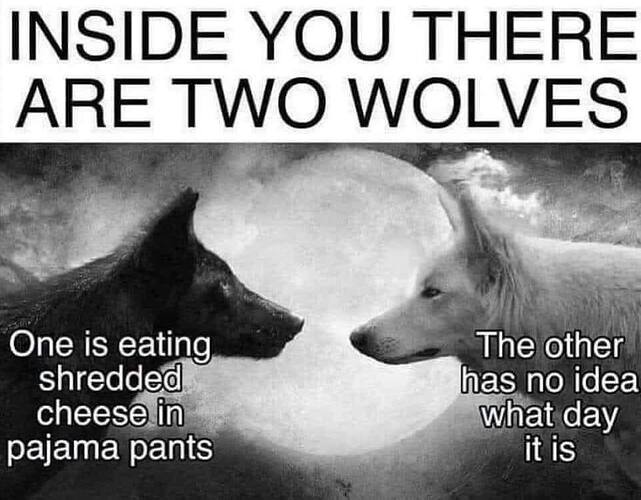 wolvess